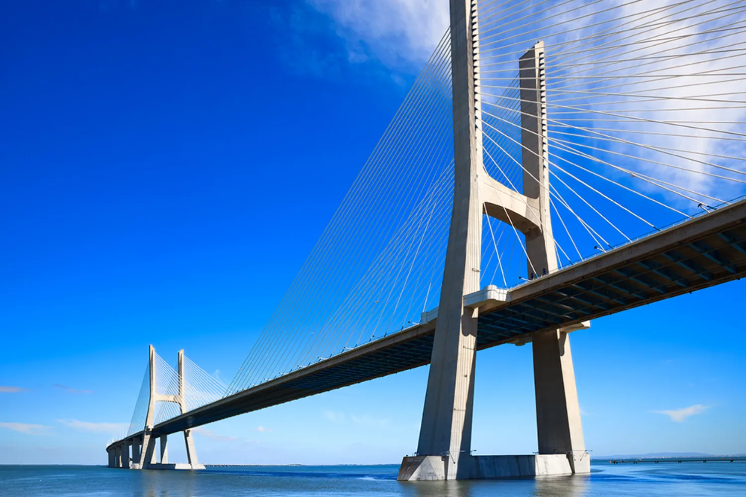 青空の下に架かる大きな斜張橋