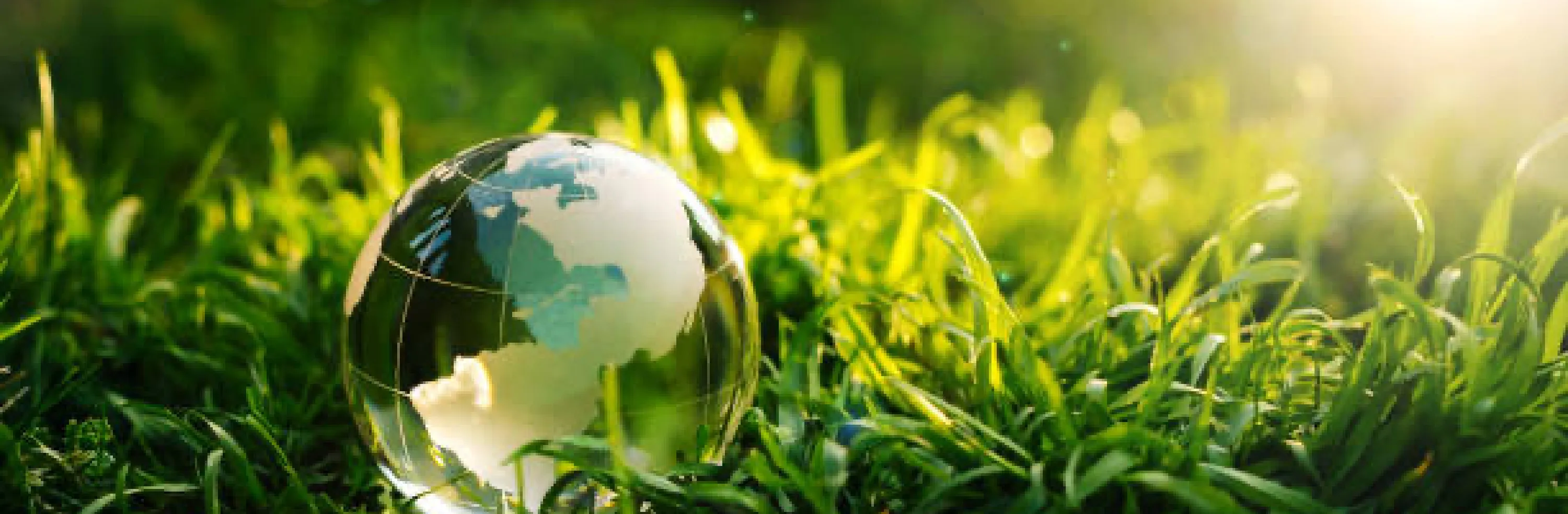 芝生の上に置かれた地球を模したガラス球と自然環境のイメージ